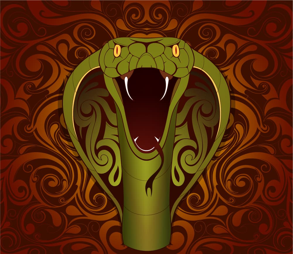 <b><u>Serpiente</u></b>
<br>
<b><u>(Los nacidos en 1941, 1953, 1965, 1977, 1989, 2001, 2013)</u></b>
<br>Tu Nadir o Némesis en el horóscopo chino es el signo del 
<b>Jabalí</b> (Los nacidos en 1935, 1947, 1959, 1971, 1983, 1995, 2007)