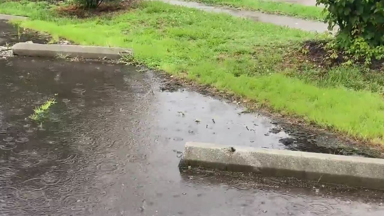 Presta mucha atención a estas recomendaciones para prevenir accidentes por las inundaciones. Evita las carreteras inundadas, obedece todas las barricadas y presta atención a todas las instrucciones de los funcionarios locales.
<b> <a href="https://www.univision.com/local/north-carolina-wuvc/alertas" target="_blank">Aquí puedes ver las alertas del tiempo.</a></b>