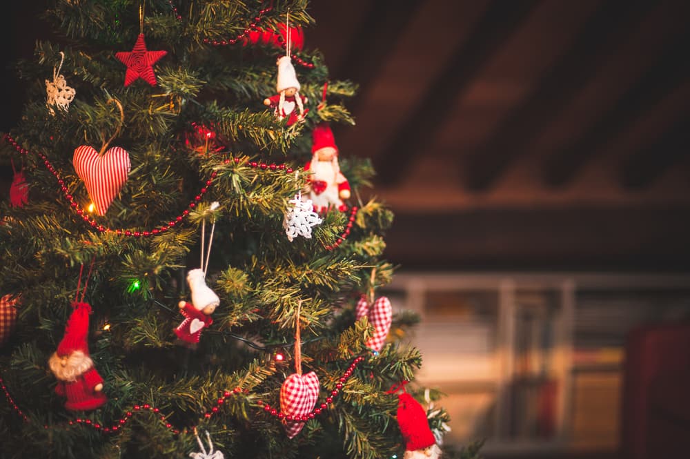 <b>Después de la Navidad:</b>
<br>-Deshágase del árbol después de la temporada, o cuando se seque. Árboles secos representan un peligro de incendio. No se deben dejar en el hogar, en el garaje o cerca de la casa.