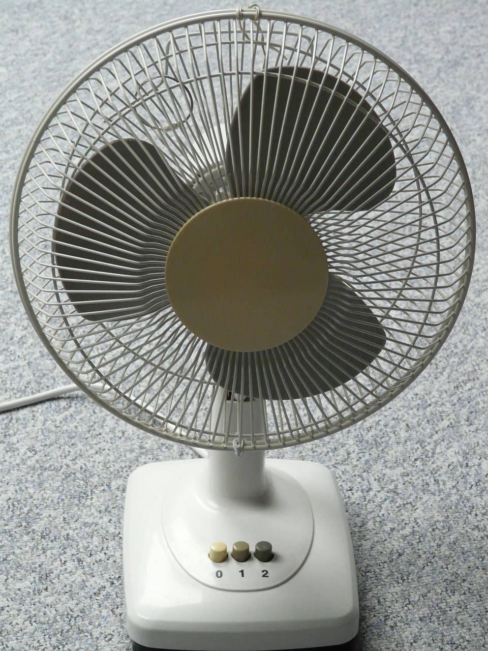 Es importante señalar que las personas que se encuentran en la población de riesgo no deben depender de un ventilador para enfriarse.