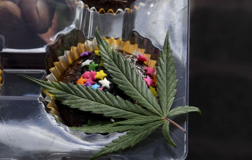 Según el Departamento de Seguridad Nacional, los incidentes de sobredosis más comunes entre los niños involucran la ingestión de alimentos comestibles de cannabis, y esas sobredosis van en aumento.