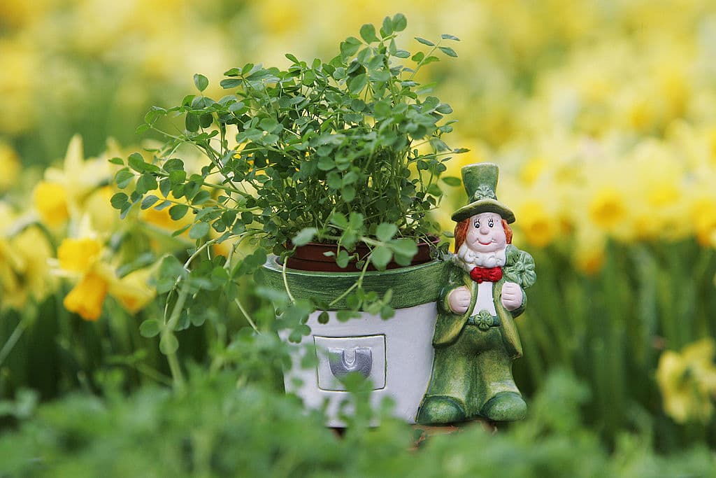 El típico duende irlandés, 'leprechaun' es jovial, pero también avaro y travieso. Según la leyenda, si alguien logra fijar la mirada sobre un leprechaun, éste no puede escapar, pero en el momento en que se retira la mirada, desaparece. Por supuesto, se suma a las criaturas cuya existencia no ha sido científicamente comprobada.