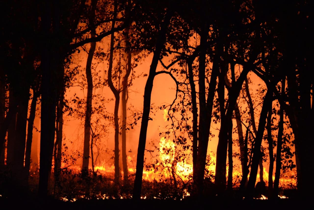 La poca humedad y los fuertes vientos son factores que podrían desatar un incendio forestal, por eso te damos algunas recomendaciones para evitar provocar uno y que éste se propague.