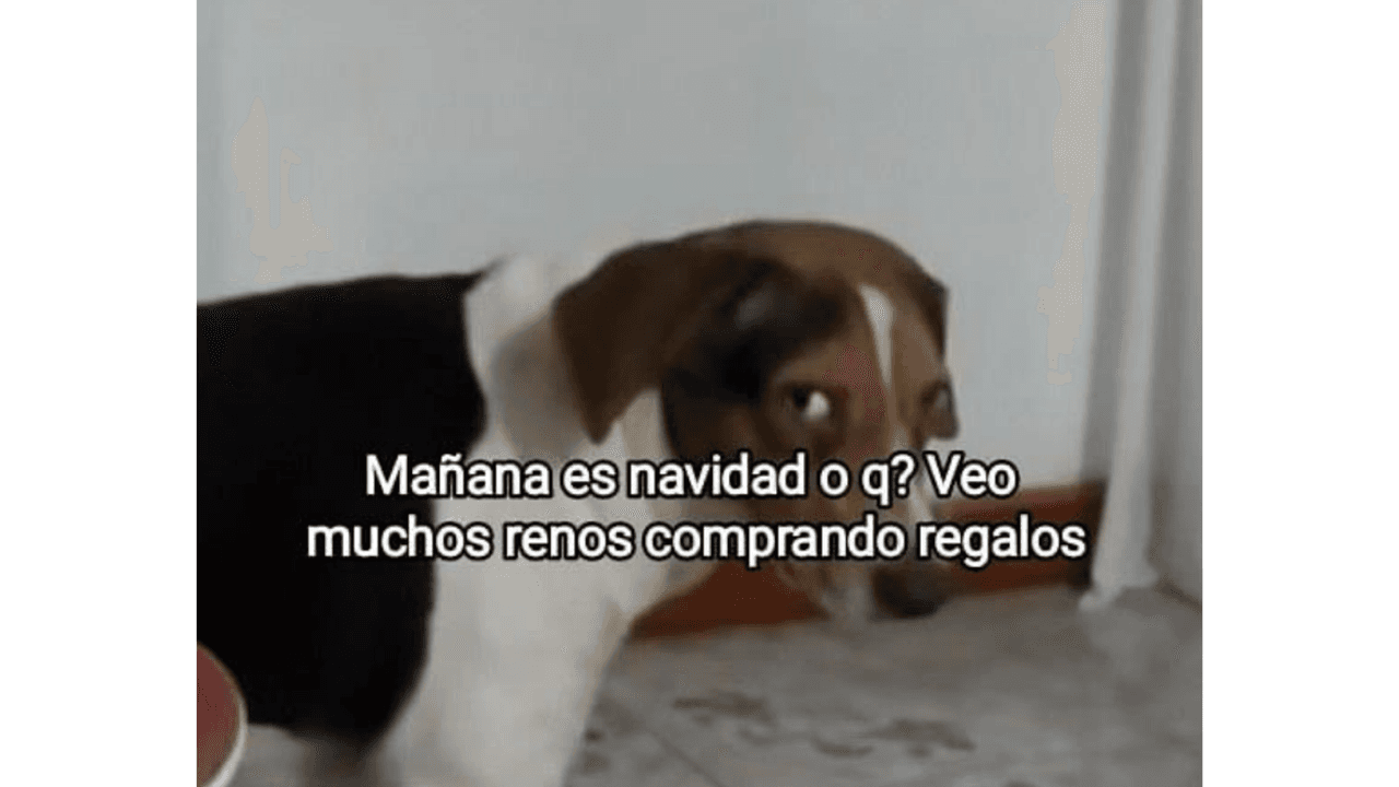 Con memes, redes sociales celebran el Día de San Valentín.