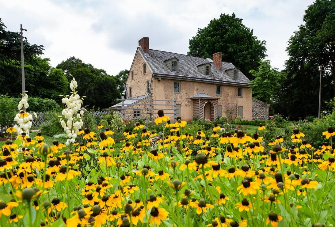 <b><a href="https://www.univision.com/local/philadelphia-wuvp/mejores-jardines-botanicos-pensilvania-primavera-2022-fotos">Te podría interesar: Así son los mejores jardines botánicos para visitar en Pensilvania en la primavera de 2022</a></b>