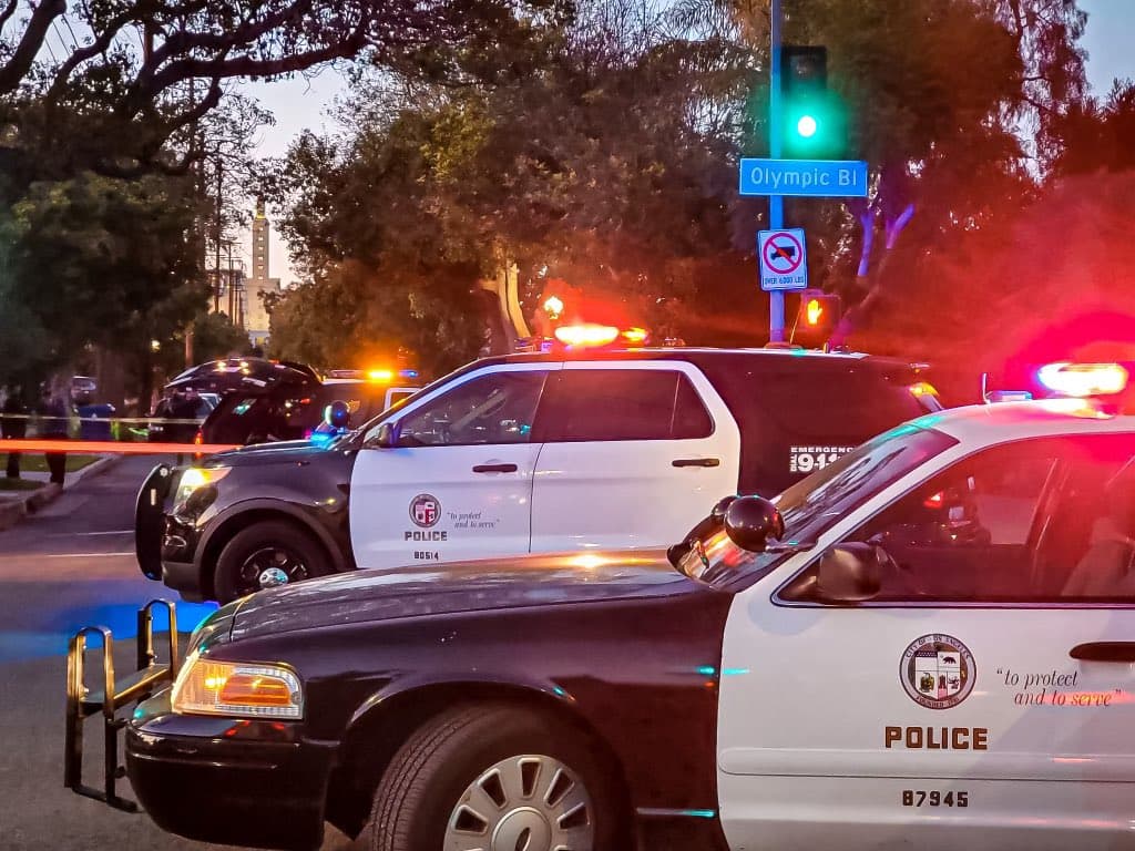 "Esta persona, que es un menor de edad, no será identificada, 
<b>fue registrada como ausente debido a que fue hospitalizada por las lesiones sufridas durante esa colisión.</b> La reserva de ausencias es idéntica en consecuencia a ser arrestado físicamente y transportado a una cárcel y está reservado para su uso en circunstancias excepcionales como estas en las que la persona procesada no puede estar físicamente presente", escribió el LAPD de la división oeste en un 
<a href="https://twitter.com/LAPDWestTraffic/status/1369788672116072451" target="_blank">comunicado</a>.