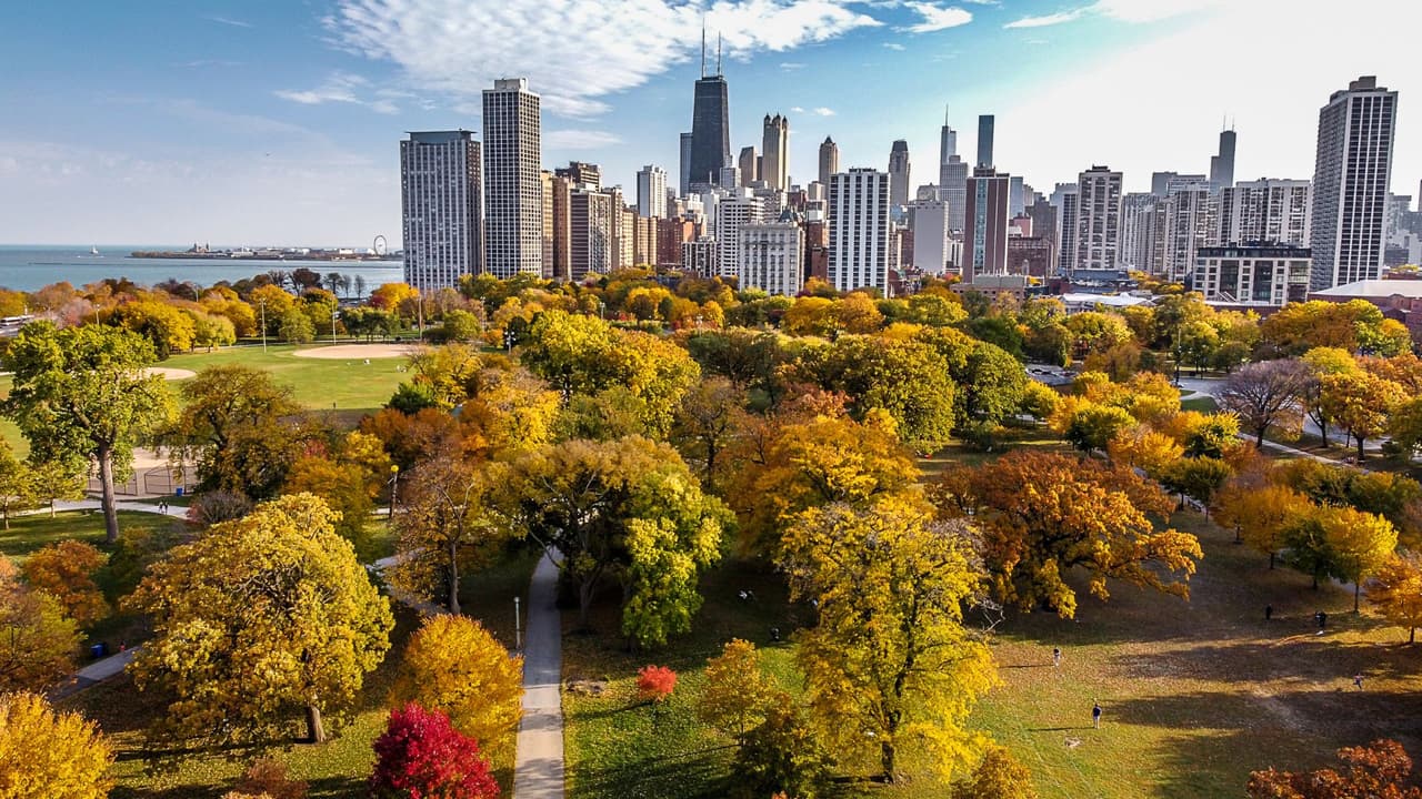 En Lincoln Park puedes encontrar caminar también por su parque, repleto de árboles que te conectan con la naturaleza en medio de la ciudad, creando un espacio único para tomarte fotos, compartir con tu familia o hacer un picnic con amigos.