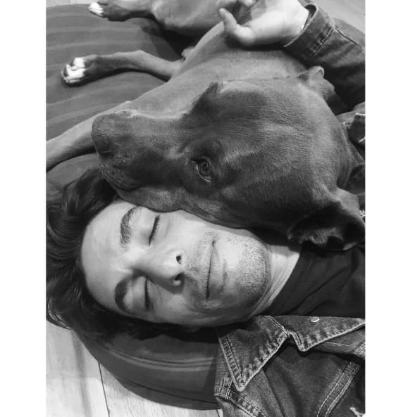 "Mis amores 💘" escribió la actriz en esta foto que compartió en sus redes sociales. Pero ahora su amor se incrementará con un integrante más a la familia.