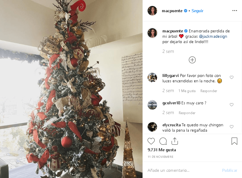 La hermana de Anahí lo presumió en 
<b><a href="https://www.instagram.com/p/B4v5KnBJKzj/" target="_blank">Instagram</a></b> desde el 11 de noviembre. "
<b>Enamorada perdida de mi árbol"</b>, escribió Marichelo Puente junto a esta foto.