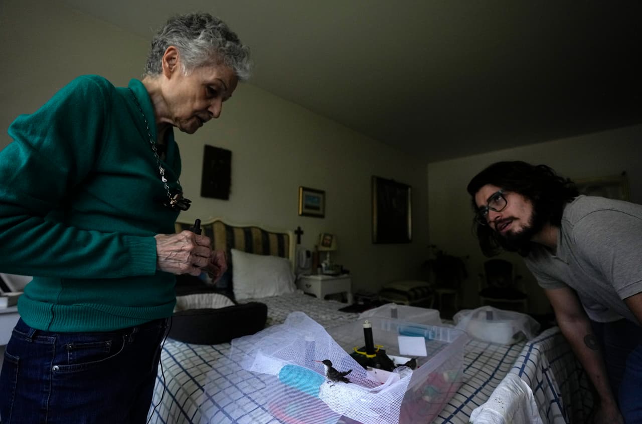 Catia Lattouf, a la izquierda, habla con Marcelo Brito sobre el colibrí pichón que encontró, en su apartamento, ahora una clínica improvisada, donde durante la última década ha cuidado a cientos de pequeños pájaros para que recuperen la salud en la Ciudad de México, el lunes 7 de agosto de 2023.