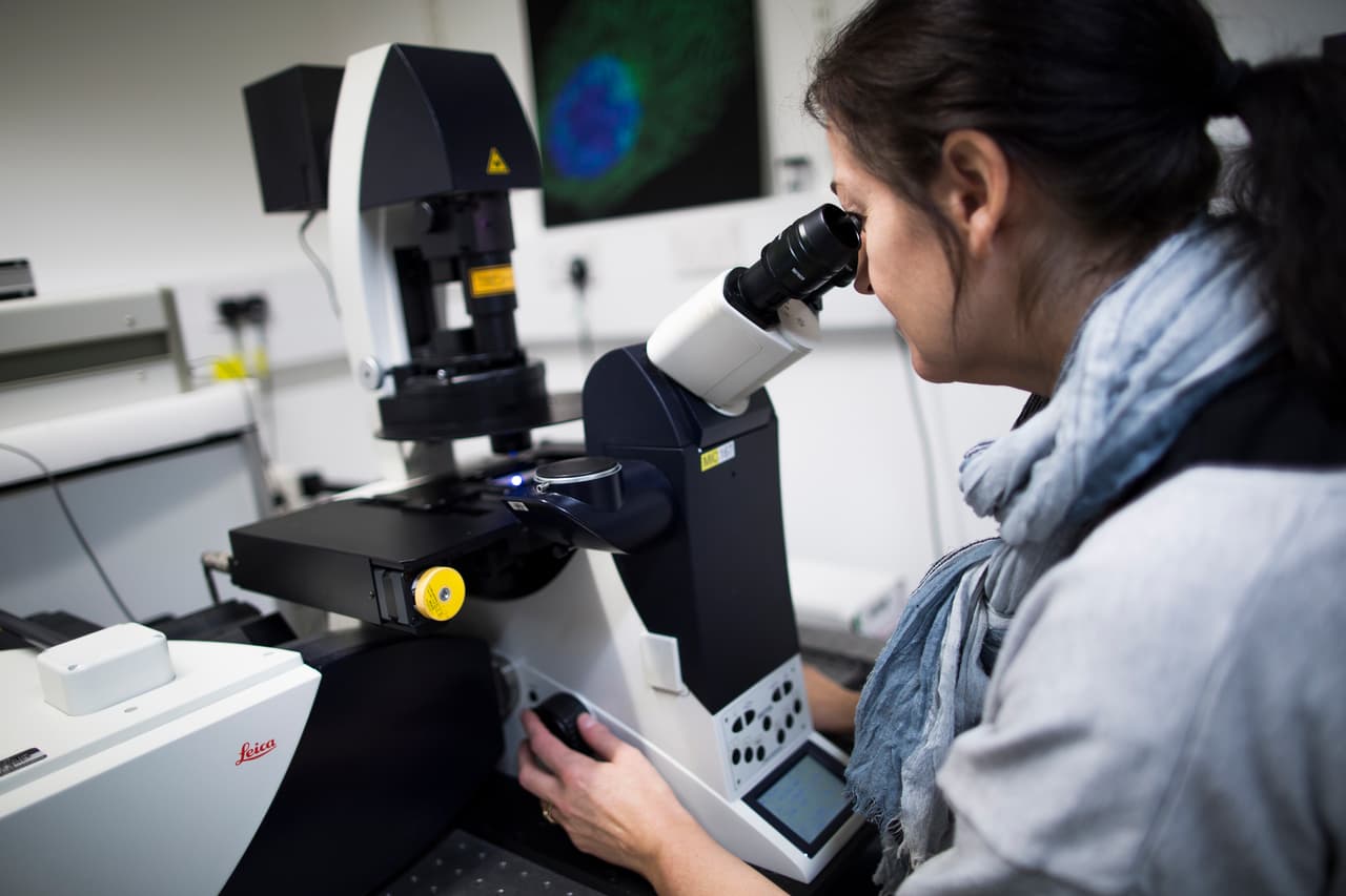 En octubre de 2021, por medio de una nueva tecnología forense, se recuperaron muestras de ADN de la ropa de la menor.