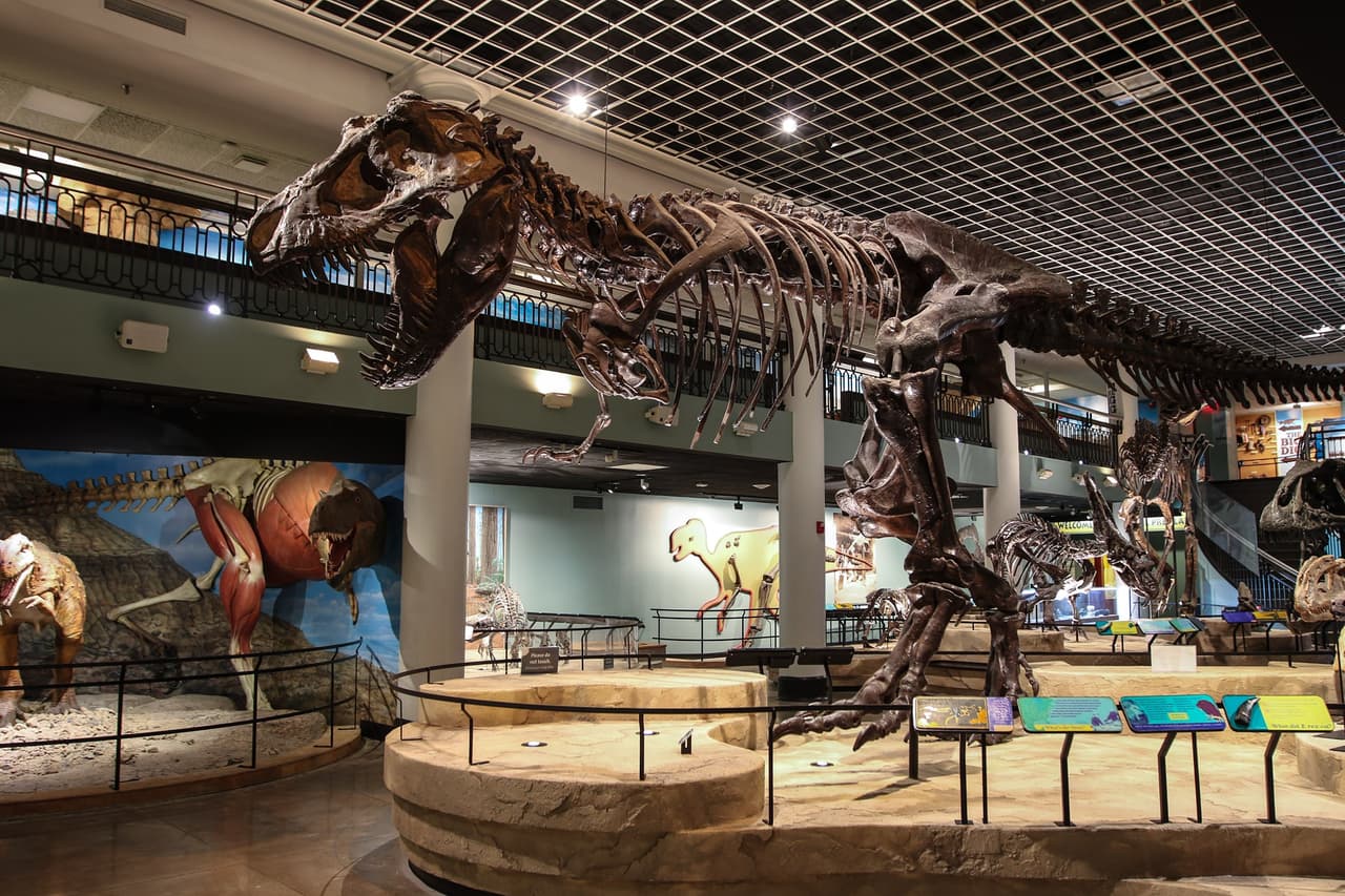 <b><a href="https://www.discoverphl.com/blog/philadelphia-museums-that-are-now-open/" target="_blank">3. Disfruta de atracciones locales</a></b>. Museos, parques y sitios históricos -por mencionar solo algunos- hacen parte de la variedad de atracciones locales que podrás explorar junto a tu pareja en el área de Filadelfia.