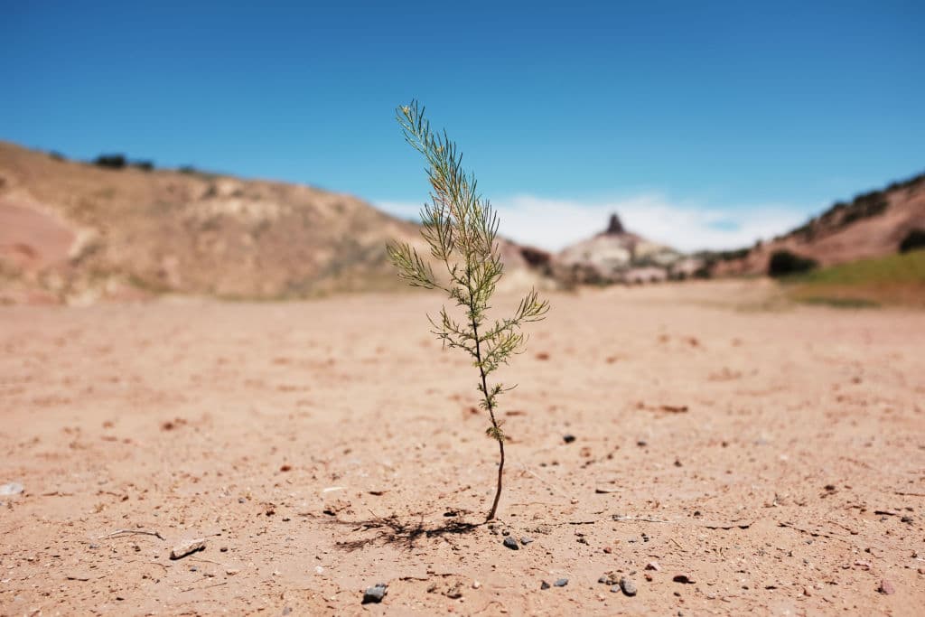 Estos condados en Pensilvania están en vigilancia por sequía, según confirmó el Departamento de Protección Ambiental 