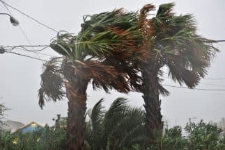 Por qué ha habido tan pocos huracanes en esta temporada, contra todos los pronósticos iniciales de la NOAA