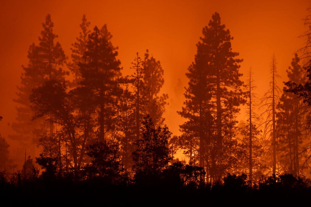 En sus primeras 24 horas, más de 70,000 acres de terreno quedaron bajo el poder consumidor del incendio Park.