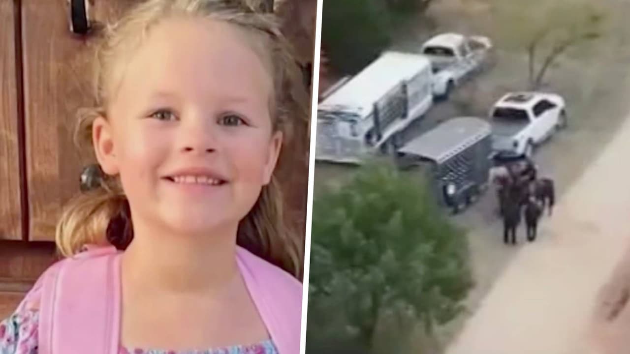 Tras el atropello, Horner intentó que Athena no lo delatara y fue cuando él intentó romper el cuello de la pequeña y luego la estranguló en la caja de la camioneta de FedEx. “Athena estaba viva al momento en que hablaba con el sospechoso y ella dijo que su nombre era Athena”: dicen documentos de corte.