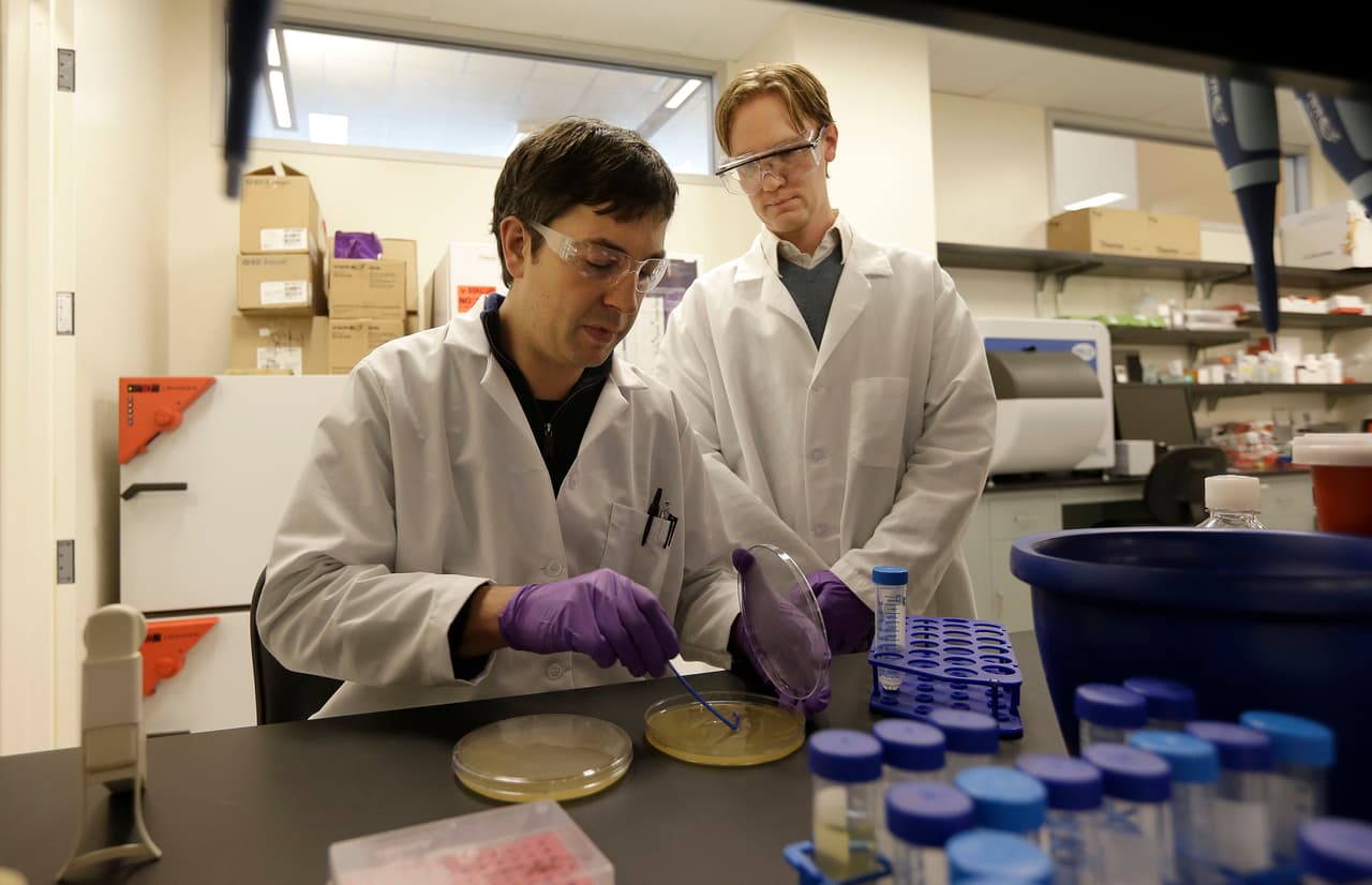 Universidad de California desarrolla su propia prueba de coronavirus con resultados en 24 horas