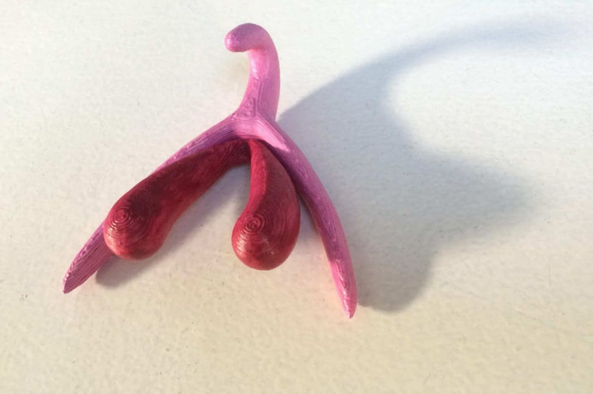 El modelo 3D descargable y gratuito ya está disponible en la web SVT-egalite, una página creada por profesores de biología para la enseñanza de la asignatura.
<br>