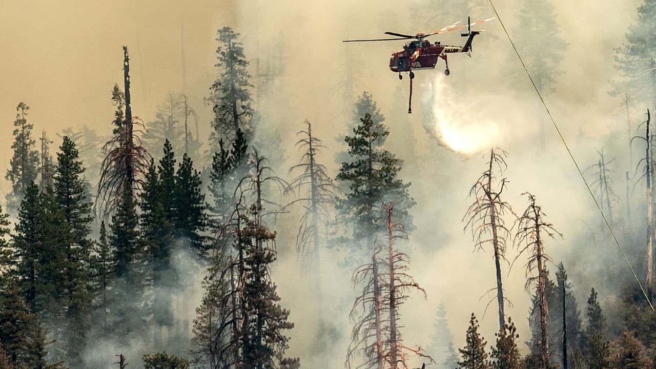 <b>En video:</b> Saúl Tejada es uno de los bomberos que trabaja en la primera línea para contener un incendio forestal en el Parque Nacional Yosemite, que comenzó el pasado 7 de julio y que ya ha consumido más de 2,000 acres. "Por el momento, ninguna secuoya se ha quemado", dice Tejada, quien asegura que el fuego está contenido apenas en un 22%.