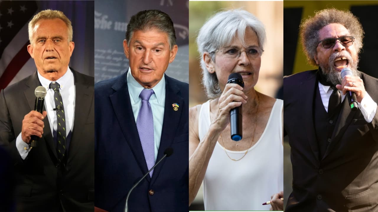 A quién ayudan y a quién perjudican los terceros candidatos en las elecciones presidenciales de 2024