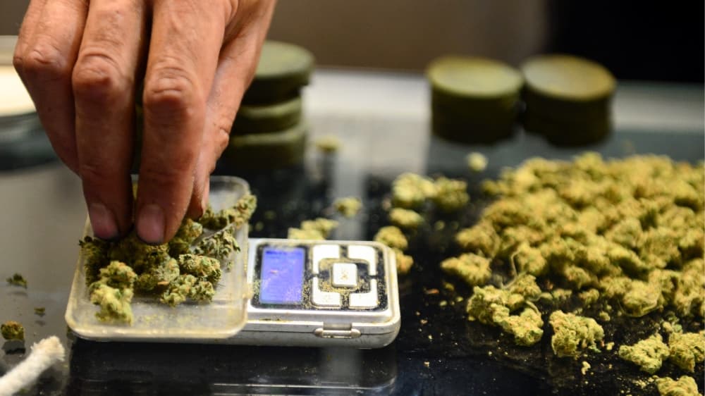 ¿Hasta qué punto es legal el consumo de marihuana en California? Aquí te decimos
