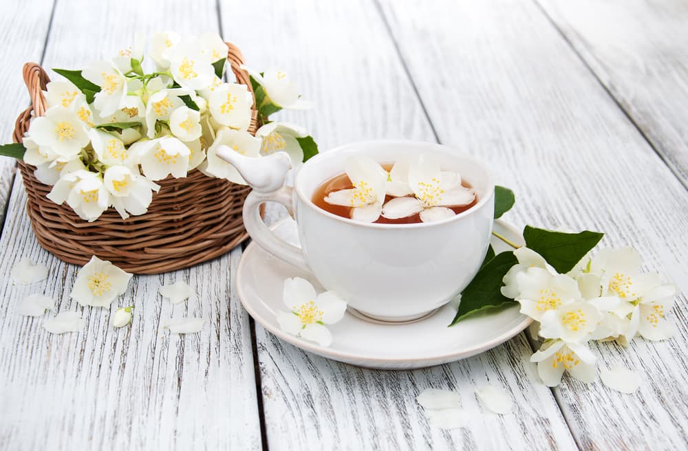 Es por esto que en países como China es sumamente popular el té de jazmín, donde se consume desde hace siglos y donde creen que puede prevenir enfermedades tan básicas como el resfriado pero también tan graves como el cáncer.