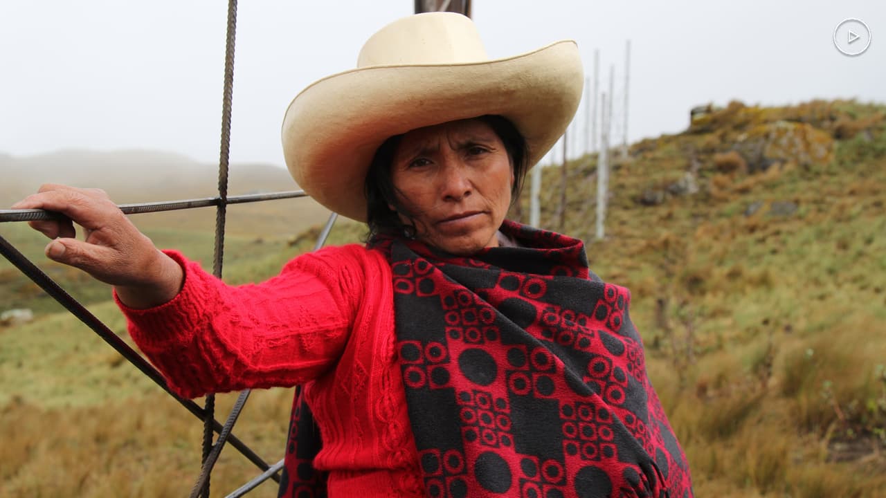 Máxima Acuña (1970 - ), una campesina agricultora de subsistencia en la Sierra Norte de Perú, luchó exitosamente, aún bajo amenazas y agresiones, contra las empresas mineras Newmont y Buenaventura. Defendió su vivienda y su derecho a vivir allí, en tierras codiciadas por las empresas para la explotación de oro y cobre. También fue otorgada en 2016 el Premio Goldman, considerado el 'Nobel verde' por la valentía de su lucha. Aprende más sobre la lucha de Máxima 
<a href="https://www.univision.com/noticias/planeta/como-berta-caceres-la-nueva-ganadora-del-nobel-verde-teme-por-su-vida" target="_blank">aquí</a>.