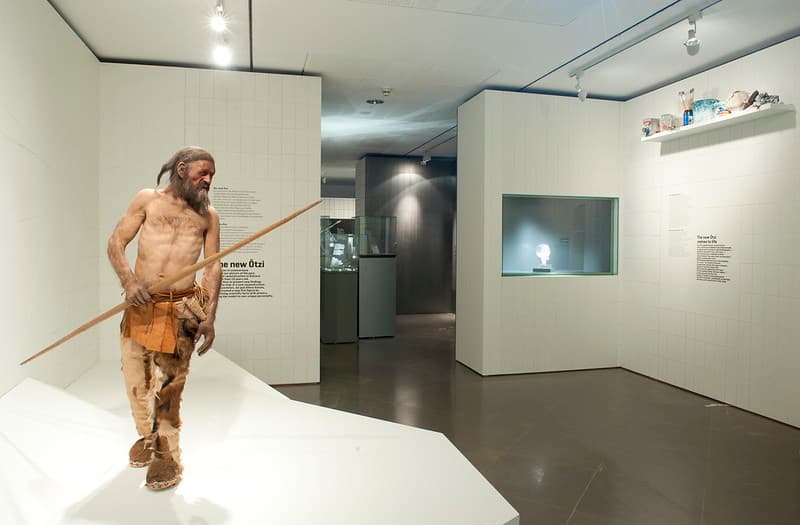 Ötzi vivió entre 3100 y 3370 a.C. medía 1.57 metros de alto y tenía una constitución ligeramente musculosa de 50 kg (110 libras), una cara estrecha y puntiaguda, piel bronceada y tatuada, ojos marrones, pelo largo oscuro y y tenia barba abundante.
<br>