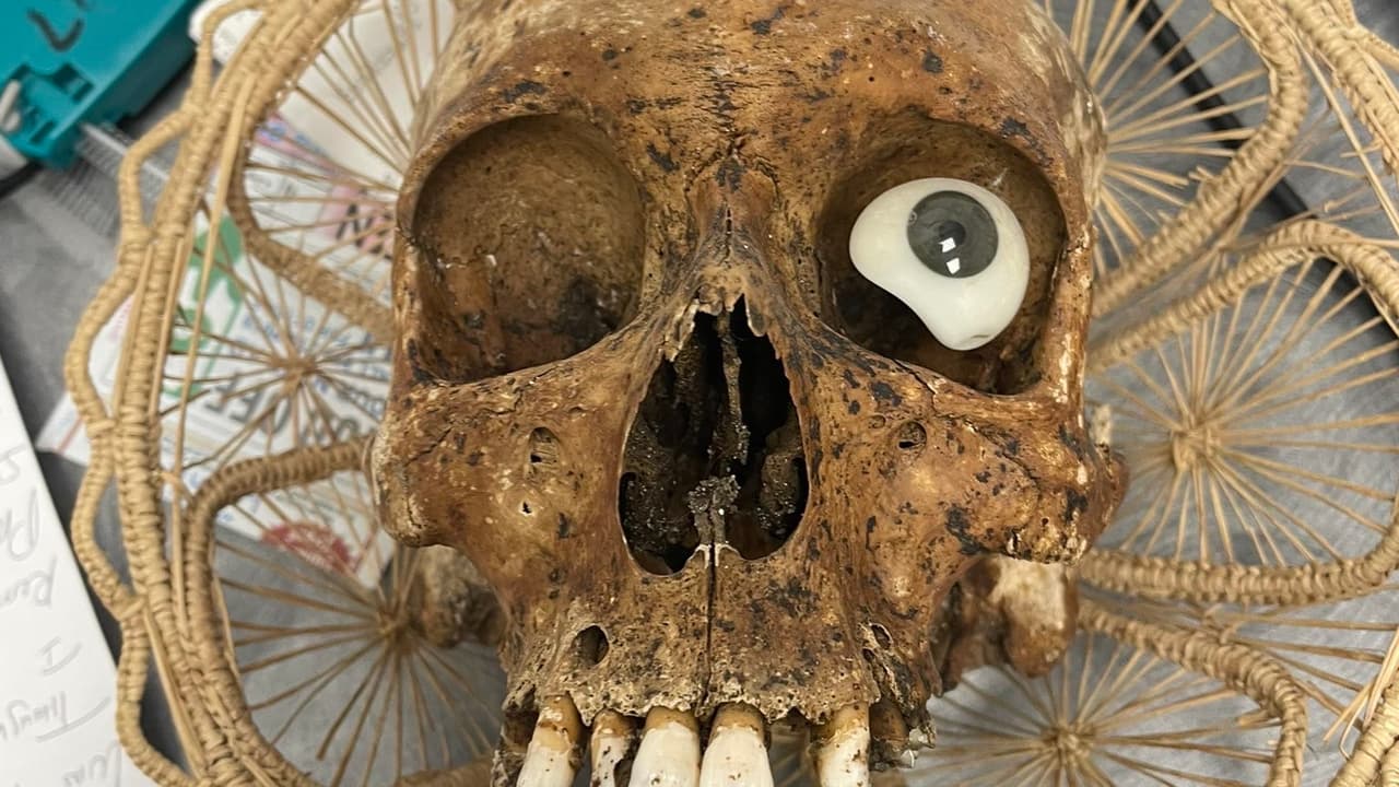 El macabro hallazgo de un cráneo humano con un ojo plástico en una donación de caridad a una tienda de Goodwill 
