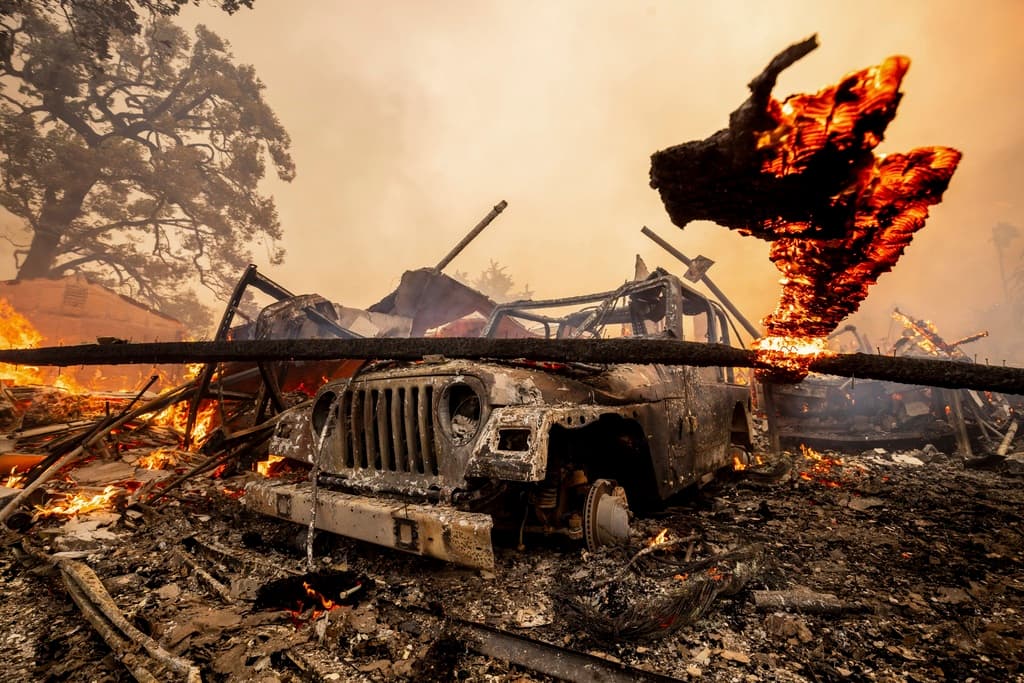 Citando al diario Ventura County Star, la agencia AP publicó que 
<b>los primeros estimados sobre los daños</b> del incendio a los cultivos de cítricos y aguacates, entre otros frutos, fueron calculados en
<b> 2.4 millones de dólares.</b>