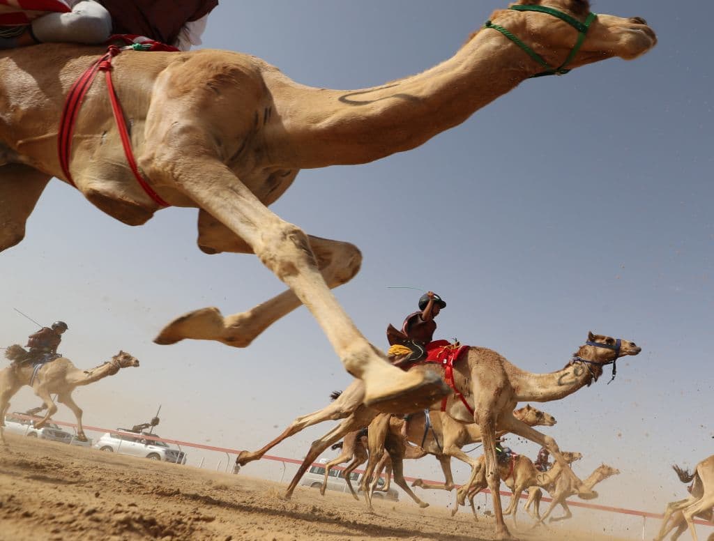 En Sweihan, Emiratos Árabes Unidos, es insoportable incluso salir al aire libre para realizar trabajos esenciales. Los termómetros llegan a 
<b>marcar hasta 125ºF (51.8ºC)</b>. Las temperaturas medias en los Emiratos Árabes Unidos son más altas que hace 60 años.