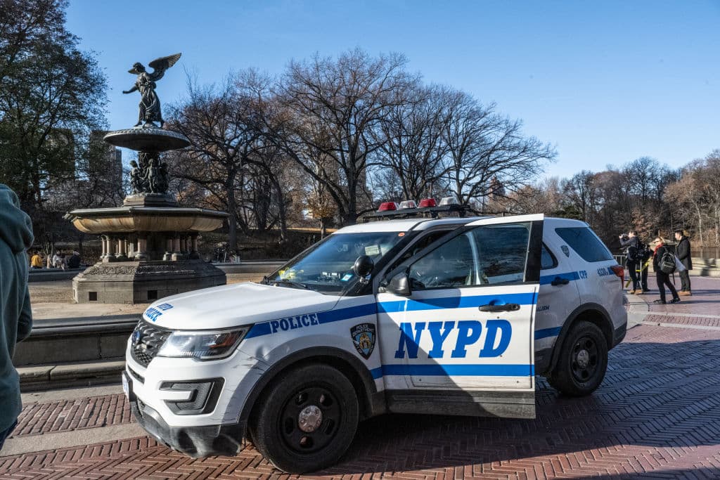 El hallazgo de la mochila o 'backpack' del sospechoso fue confirmado por NYPD el sábado 7 de diciembre. Divulgaron que adentro solo hallaron 
<b>un abrigo ligero y billetes del <a href="https://www.univision.com/explora/la-verdadera-historia-del-monopoly-que-nunca-conociste" target="_blank">juego de mesa Monopolio</a></b>.