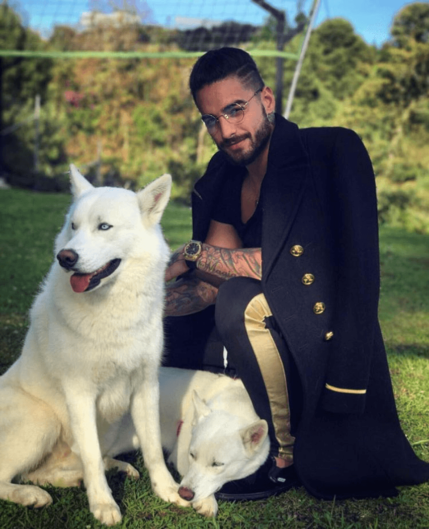 <b><a href="https://www.univision.com/temas/maluma">Maluma</a></b> tiene dos bellos y blancos 'Huskeys'. ¡Derraman amor!
