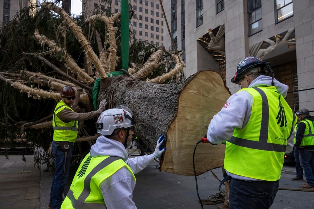 Alrededor del árbol van 50,000 luces led de colores y no faltará la corona con 3 millones de cristales Swarovski.