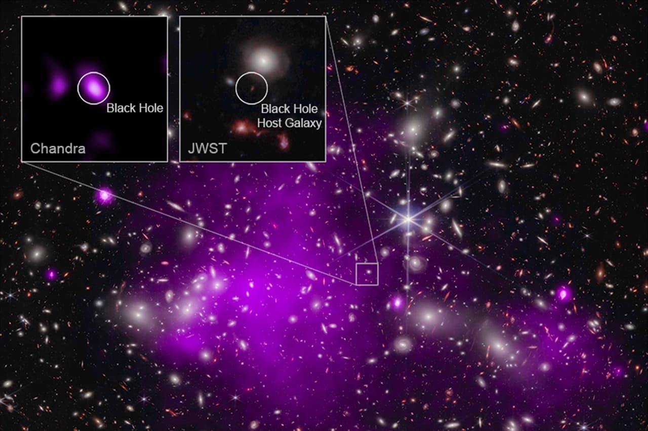 Telescopio James Webb: descubren el agujero negro más antiguo que se conoce