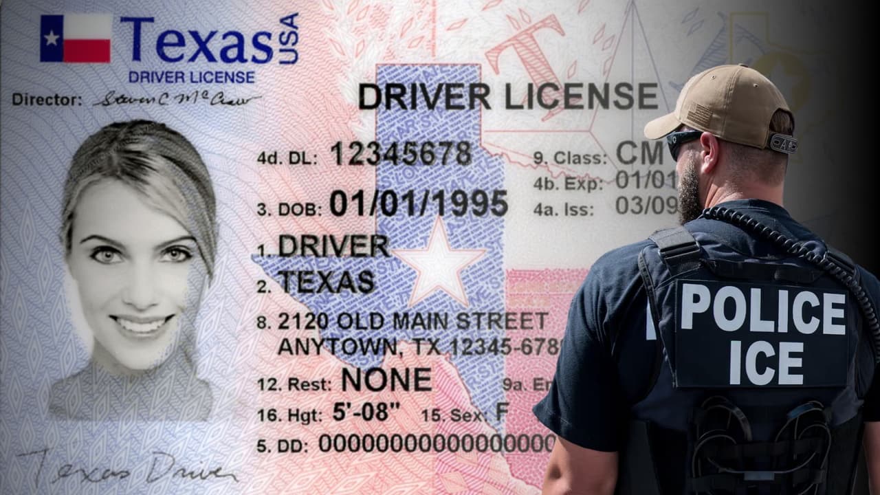 ¿La licencia de conducir prueba tu estatus migratorio? Lo que realmente necesitas saber