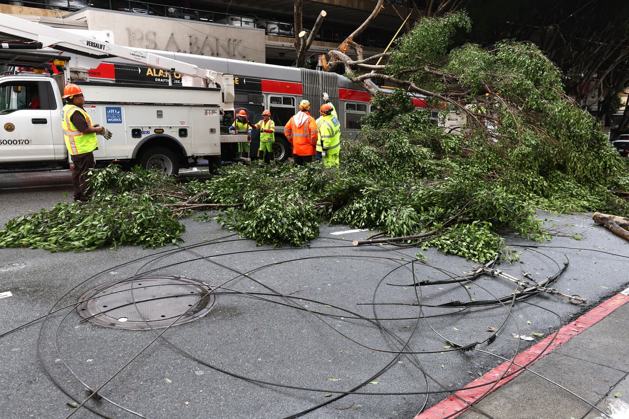Por ejemplo, este sábado, una anciana murió aplastada por una gran rama de árbol en el Golden Gate Park, según la policía de San Francisco.
<br>