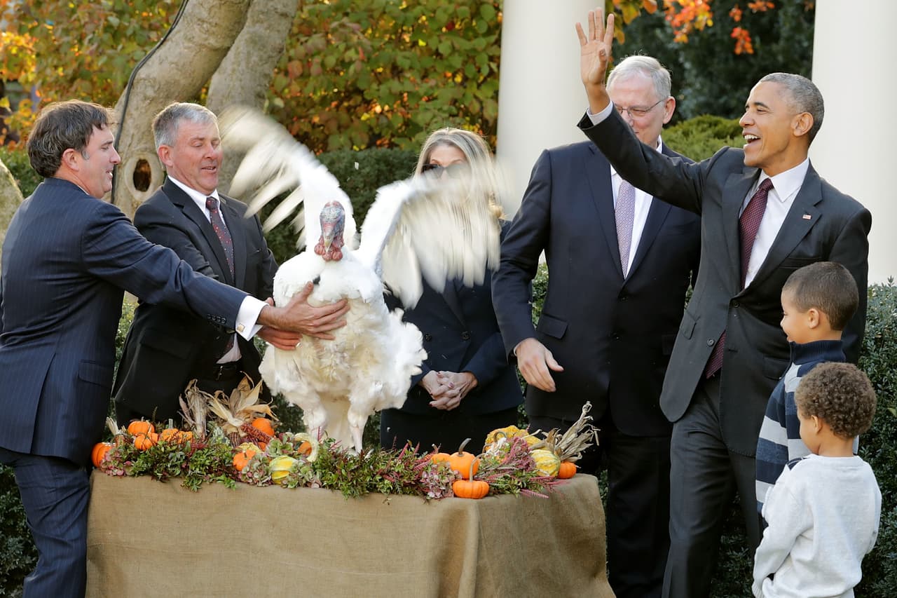 Aunque los presidentes tienen la posibilidad de elegir entre los dos pavos que la Federación Nacional del Pavo dona anualmente a la Casa Blanca e indultar solo a uno, 
<b>Obama</b> ha mantenido la costumbre de perdonar a los dos.