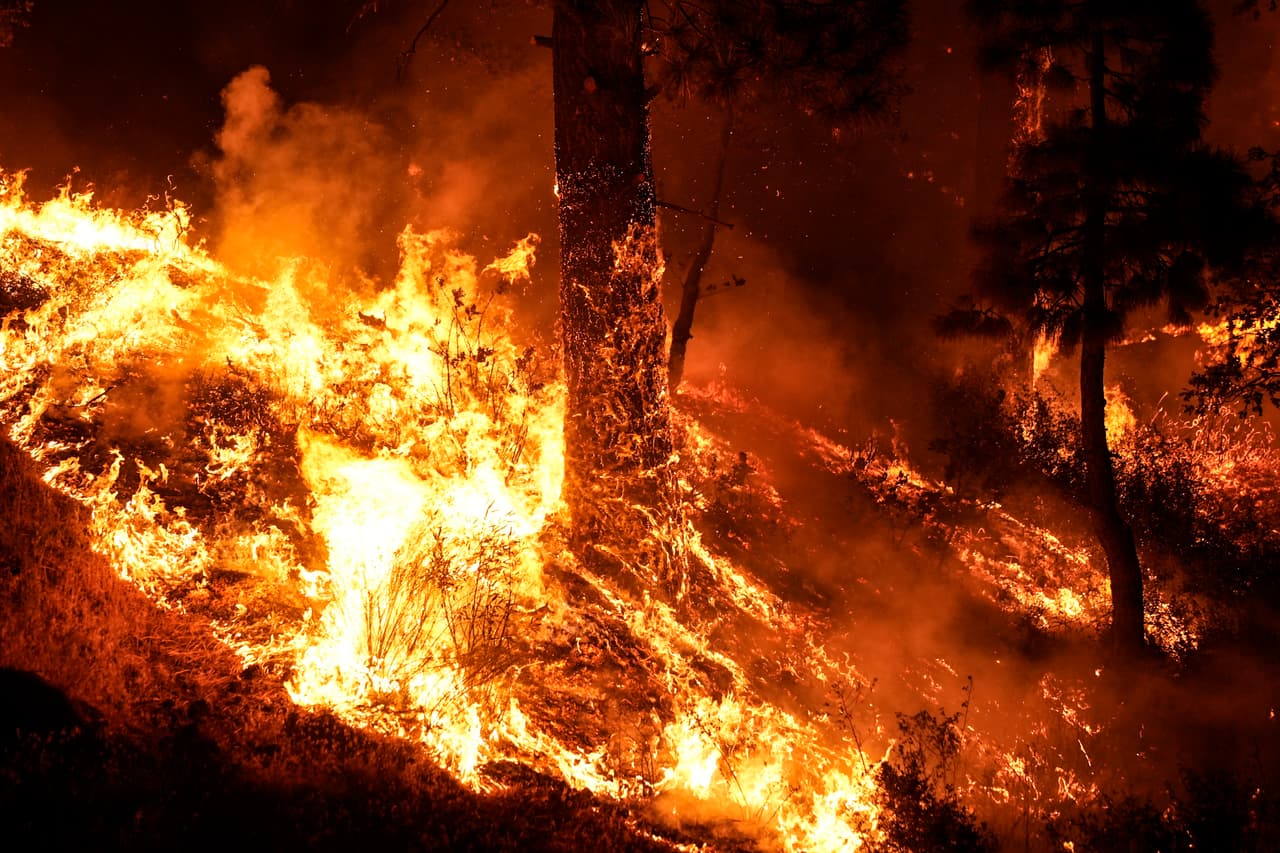 El Bosque Nacional Ángeles respondió a un incendio forestal alrededor de las 2:30 p. m. del 8 de septiembre. Se solicitaron recursos aéreos y terrestres adicionales en respuesta al incendio, que provocó varios cierres de carreteras y evacuaciones.