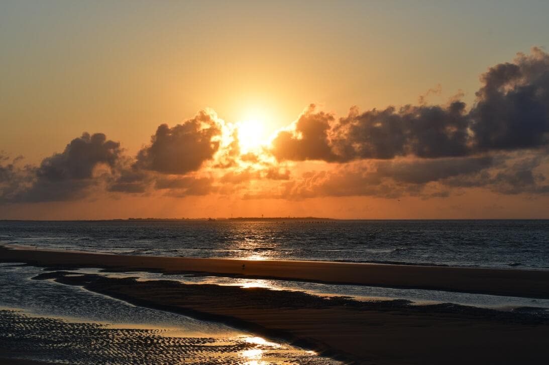 <b><a href="https://www.univision.com/local/north-carolina-wuvc/mejores-playas-carolina-del-norte-visitar-verano-2022-fotos">MIRA TAMBIÉN: Estas son las mejores playas de Carolina del Norte para visitar en verano</a></b>