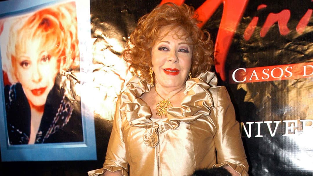 <h2 class="cms-H2-H2"><b>Silvia Pinal</b> </h2>
<br>
<br>Ícono del cine mexicano, 
<a href="https://www.lasestrellas.tv/famosos/por-que-silvia-pinal-no-fue-incluida-en-la-ceremonia-de-los-oscar">murió el 28 de noviembre de 2024</a> a los 93 años. Su colaboración con Luis Buñuel en “Viridiana” (1961) la consolidó como una de las grandes actrices de su época.