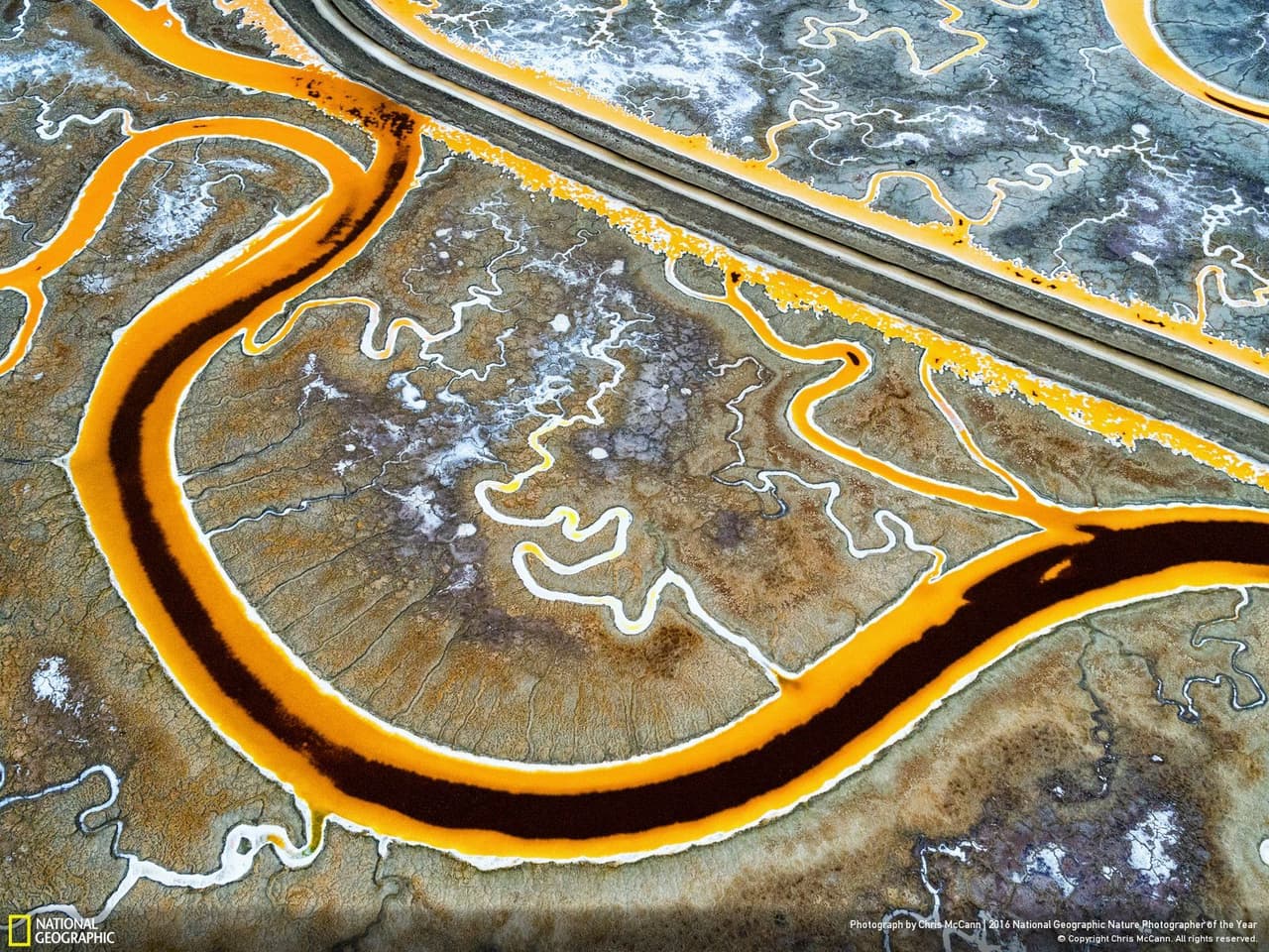 Los pantanos de sal que colindan con la sede de Facebook en el área de la Bahía de San Francisco lograron el segundo lugar en asuntos medioambientales. Su autor, Chris McCann, explica que los colores amarillo, blanco y marrón indican el nivel de salinidad de estas salitreras.