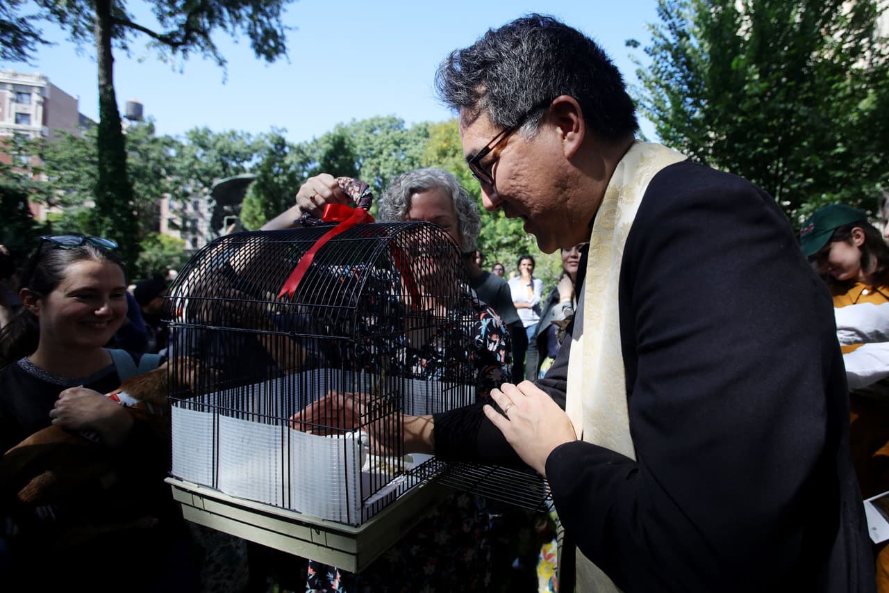 Algunos animales fueron llevados en sus jaulas.