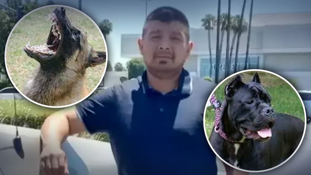 Hispano muere atacado por 4 perros mientras trabajaba en Jurupa Valley: tenía una esposa y 5 hijos en Guatemala