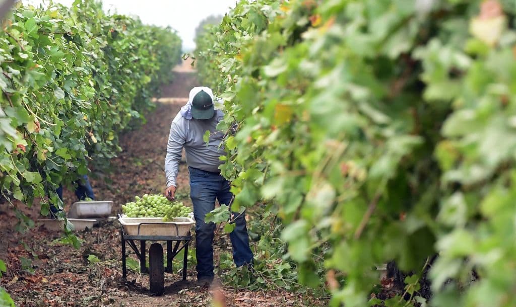 Si eres un trabajador agrícola inmigrante y necesitas ayuda, puedes comunicarte con el Centro de Empleo de América en California al
<a href="tel:1-866-289-8356">teléfono: 1-866-289-8356</a>o por correo electrónico a
<a href="mailto:monitoradvocate@edd.ca.gov">monitoradvocate@edd.ca.gov</a>.