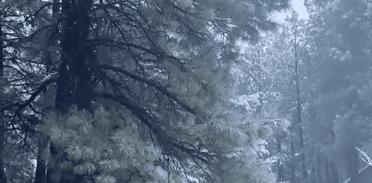 Una 
<b><a href="https://www.univision.com/local/arizona-ktvw/lluvia-nieve-arizona-tormenta" target="_blank">tormenta invernal</a> que afecta la región</b> nos ha dejado sentir sus efectos.
