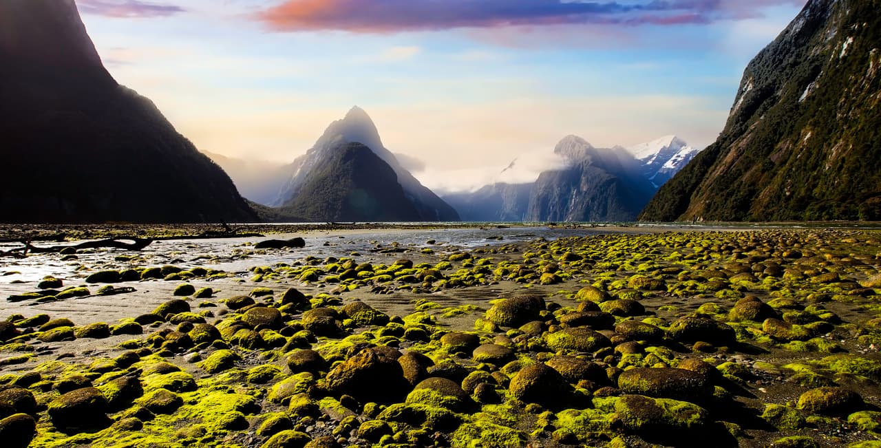 <h2 class="cms-H2-H2">14. Nueva Zelanda</h2>
<br>
<br>🛫
<b> ¿Cuántos estadounidenses se mudaron a este país en 2021? </b>1,849.
<br>
<br>🛫
<b> ¿Cuánto ha incrementado el porcentaje de migrantes estadounidenses a este país entre 2019 y 2021?</b> 78%.
<br>
<br>🛫
<b> ¿Cuántos estadounidenses residen en este país? </b>36,000.
<br>