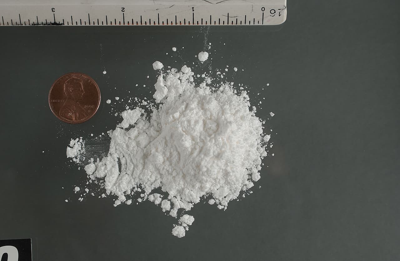 <h3 class="cms-H3-H3">Cocaína</h3>
<br>
<br>Fabricada a partir de las hijas de la planta de la coca, originaria de América del Sur, 
<b>es considerada una sustancia estimulante de muy alto grado de adicción</b> que puede ser inhalada, fumada o inyectada. 
<br>
<br>Comunmente se le conoce como 
<a href="https://www.drugabuse.gov/es/publicaciones/serie-de-reportes/cocaina-abuso-y-adiccion/nota-de-la-directora" target="_blank">Blow, Bump, C, Candy, Charlie, Coke, Crack, Flake, Rock, Snow, Toot. Puede estar disponible como polvo blanco o cristal de roca blanca</a>, según el NIH.
<br>
<br>A corto plazo, la cocaína podría provocar estrechamiento de los vasos sanguíneos, pupilas dilatadas, aumento de la temperatura corporal, la frecuencia cardiaca y la presión arterial, dolor de cabeza, dolor abdominal, náuseas, insomnio, ansiedad, conducta errática, ataques de pánico, paranoia, psicosis, derrame cerebral, convulsiones e incluso estado de coma. 
<br>
<br>La agencia advierte que el consumo en exceso podría generar a largo plazo: 
<b>hemorragias nasales, dificultad al ingerir, infección y muerte del tejido intestinal debido a la reducción del flujo sanguíneo, desnutrición y pérdida de peso, daño a los pulmones causados por fumar, así como riesgo de contraer VIH</b>, hepatitis y otras enfermedades infecciosas por compartir agujas. 
<br>
<br>