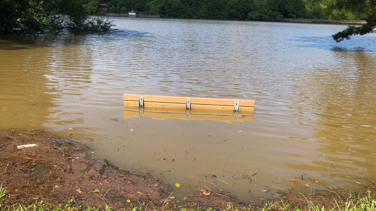 Banquillos y caminerías inundadas: Isaías provoca desbordamientos y árboles caídos en parque de Raleigh