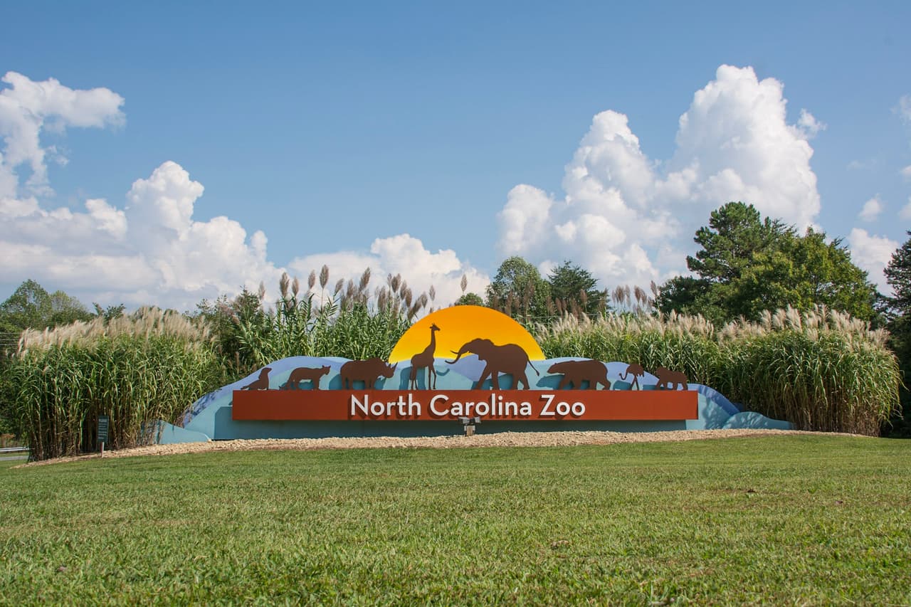 Amenaza de bomba obliga a evacuación y cierre del Zoológico de Carolina del Norte 